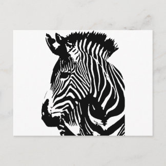 Zebra Postcard