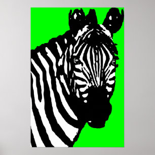 zebra. poster