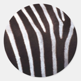 zebra print classic round sticker