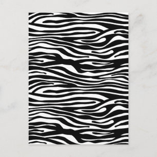 Zebra Print Pattern - Black and White Postcard