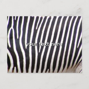 Zebra Print Postcard