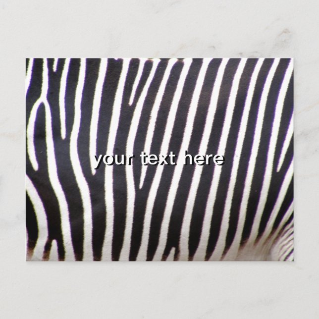 Zebra Print Postcard (Front)