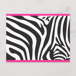 Zebra Print Postcard