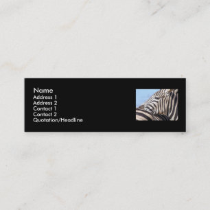 Zebra Profile Card