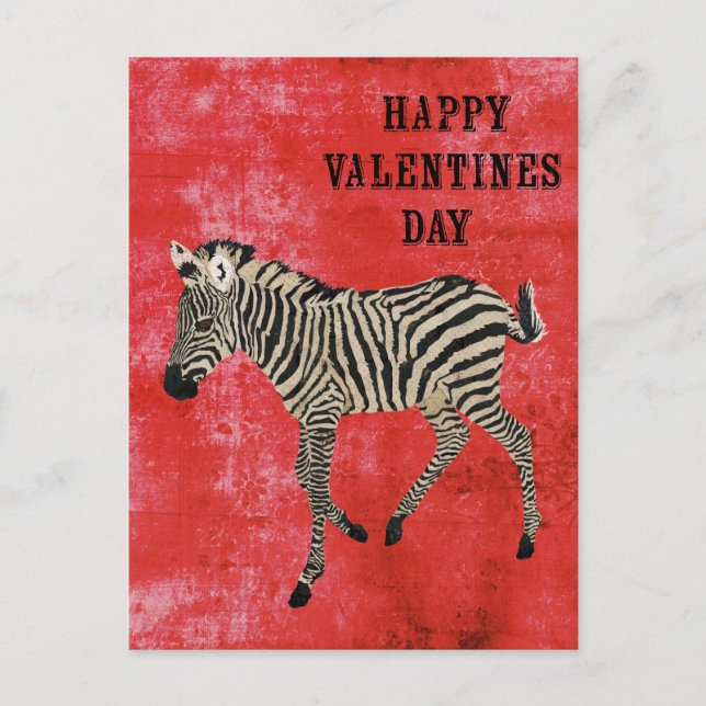 Zebra Red Valentines Day Postcard (Front)