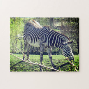 Zebra Relaxing Self-Care Jigsaw Puzzle