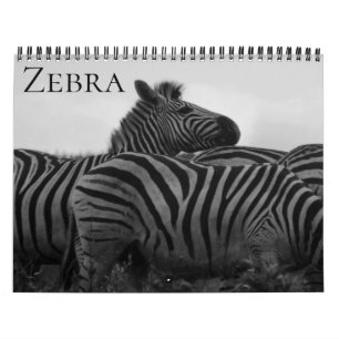 zebra safari 2025 calendar