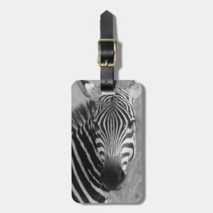 Zebra Safari Cute African Classy Stripes Luggage Tag