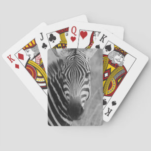 Zebra Safari Cute African Classy Stripes Playing Cards