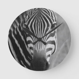 Zebra Safari Cute African Classy Stripes Round Clock