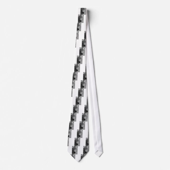 Zebra Safari Cute African Classy Stripes Tie (Front)