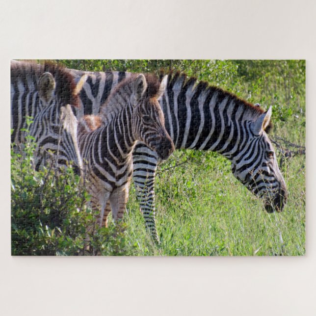 zebra safari jigsaw puzzle (Horizontal)