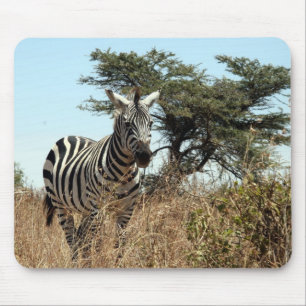 zebra scene mouse pad