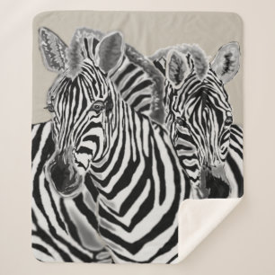 Zebra Sherpa Blanket