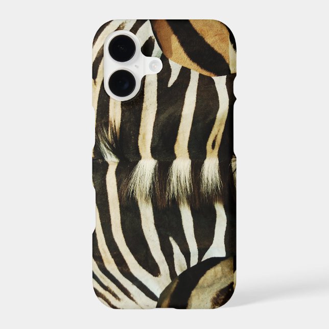 Zebra Skin (Back)