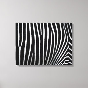 Zebra Skin Canvas Print