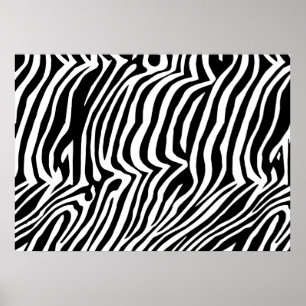 Zebra  skin pattern poster