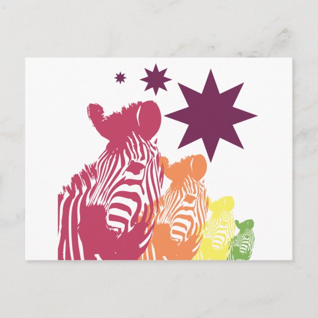 zebra star postcard (Front)