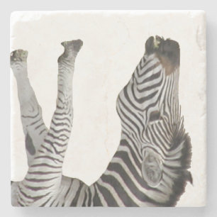 Zebra Stone Coaster