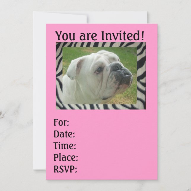Zebra Stripe English Bulldog party Invitations (Front)