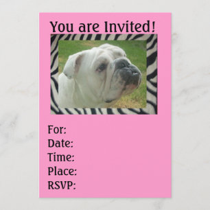 Zebra Stripe English Bulldog party Invitations