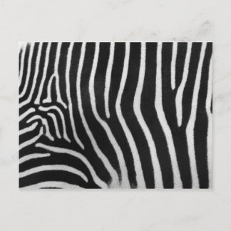 Zebra Stripe Pattern Postcard