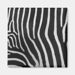 Zebra Stripe Pattern Square Magnet