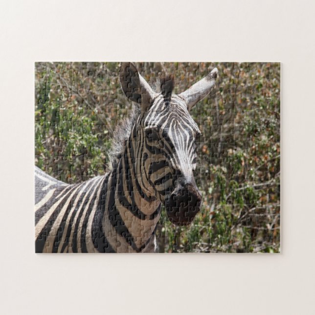 zebra striped jigsaw puzzle (Horizontal)