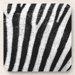 zebra Stripes Coaster