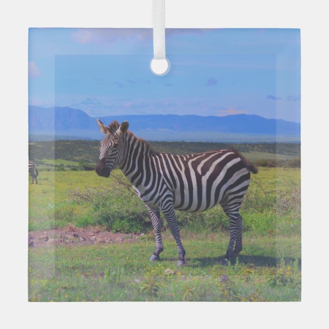 ZEBRA STRIPES  GLASS TREE DECORATION (Front)