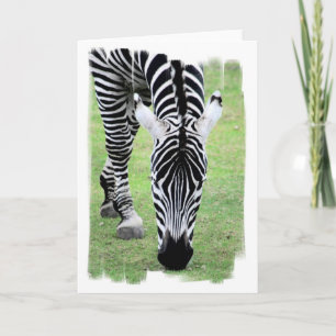 Zebra Stripes Greeting Card