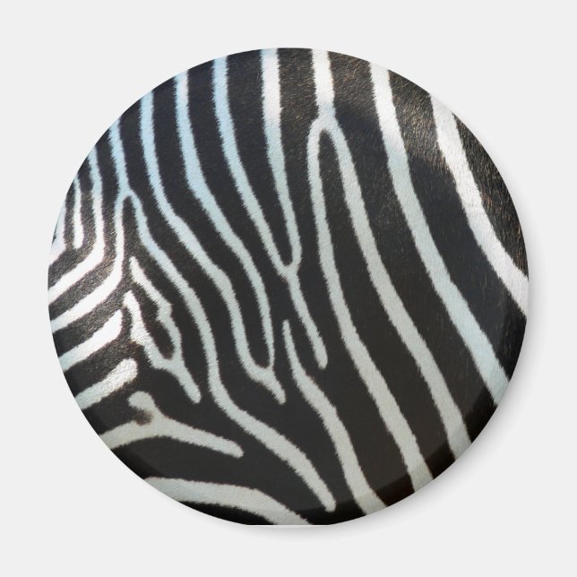 Zebra Stripes Magnet (Front)