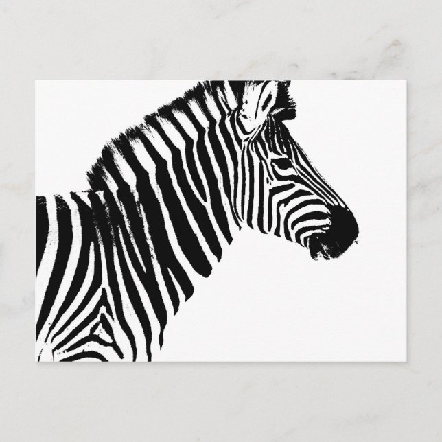 Zebra Stripes Postcard (Front)
