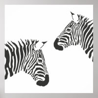 Zebra Stripes