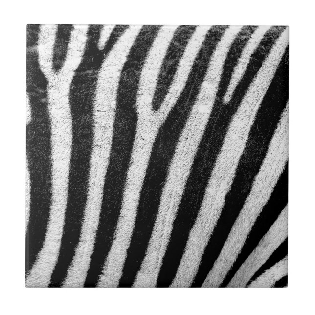 zebra Stripes Tile (Front)