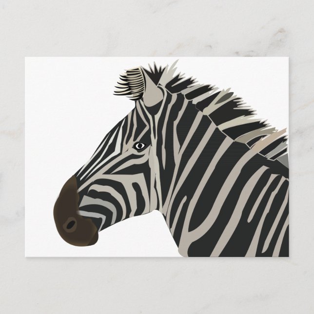 Zebra Stripes Wildlife Animal Postcard (Front)