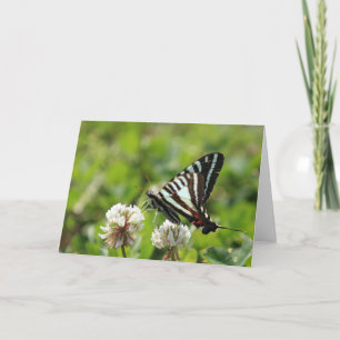 Zebra Swallowtail Butterfly Card