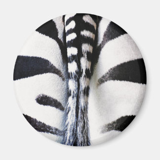 Zebra Tail Black & White Magnet