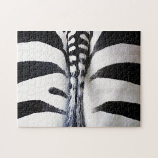 Zebra Tail Impossible Puzzle Challenge