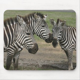 Zebra Talk - Mousepad
