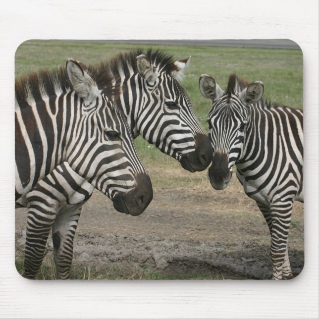 Zebra Talk - Mousepad (Front)