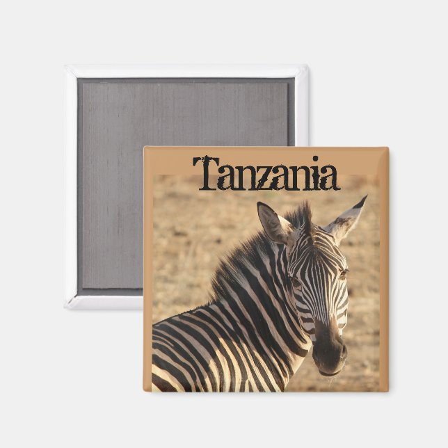 Zebra, Tanzanian Savannah Magnet (Front/Back)
