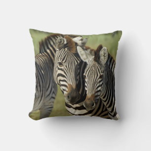 ZEBRA THROW PILLOW