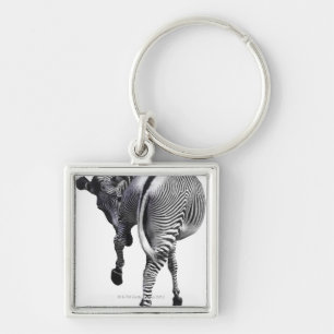 Zebra turning around key ring