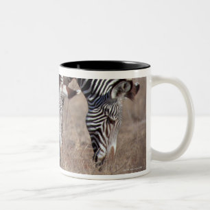 Zebra Two-Tone Coffee Mug