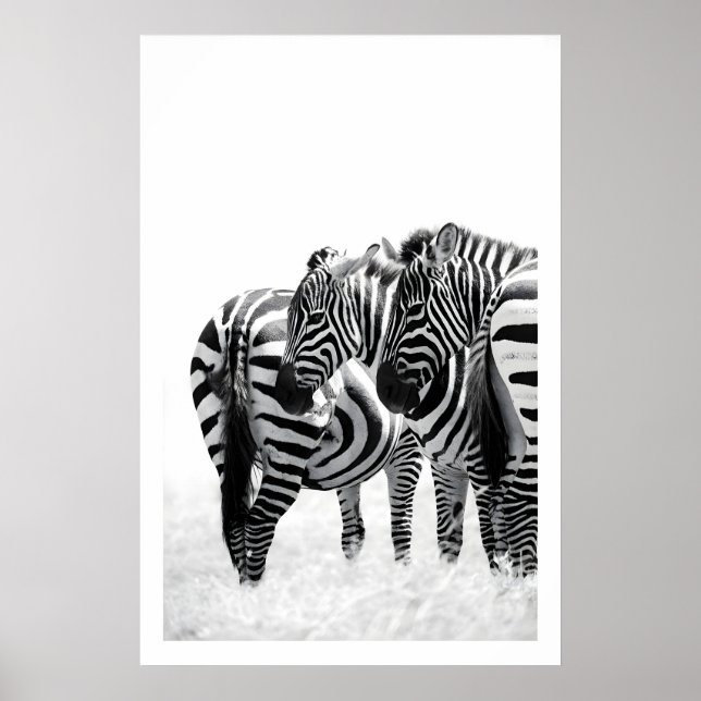 Zebra Wall Art Print Subtle Movement, Black and (Front)