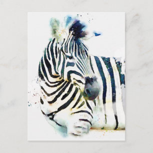 Zebra Watercolor Postcard