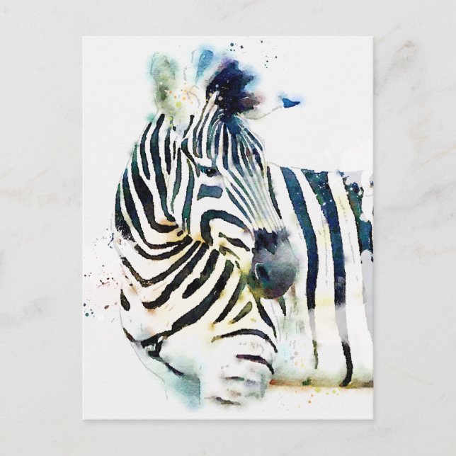 Zebra Watercolor Postcard (Front)