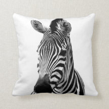 Zebra wild african animal photo black and white