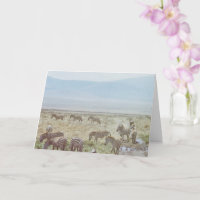 Zebra Wild Birthday Wishes